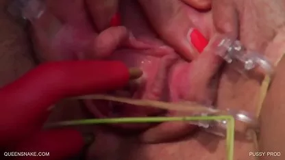Kedi kırılgan, seksi bir güzelliğe yapışır. pornotürkcealtyazı